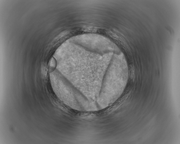 X0000112891154200910021408