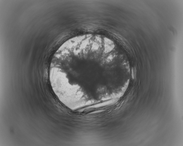 X0000112891155200910021408