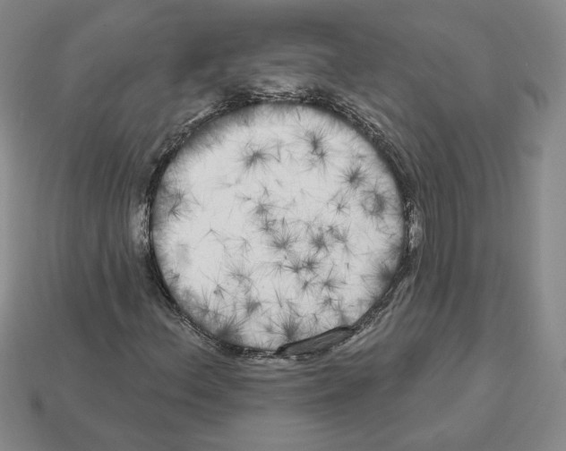 X0000112891156200910021408