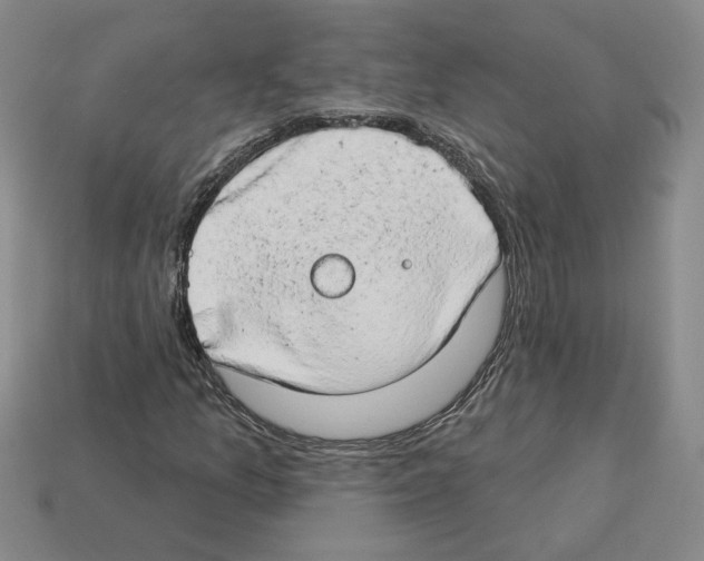 X0000112891157200910021408