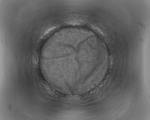 X0000112891158200910021408