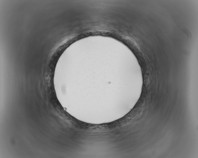 X0000112891159200910021408