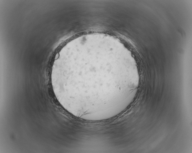 X0000112891160200910021408