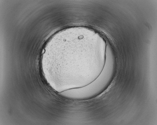 X0000112891162200910021408