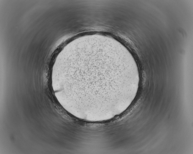 X0000112891163200910021408