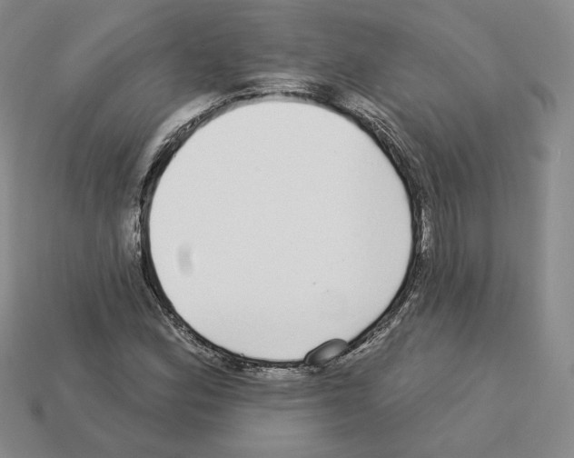 X0000112891164200910021408