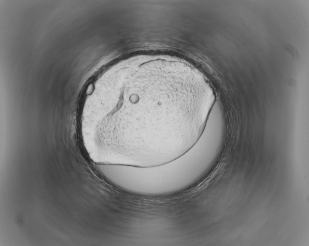 X0000112891165200910021408