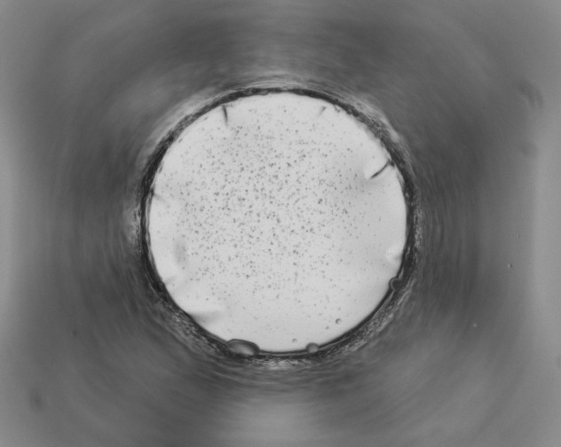 X0000112891167200910021408