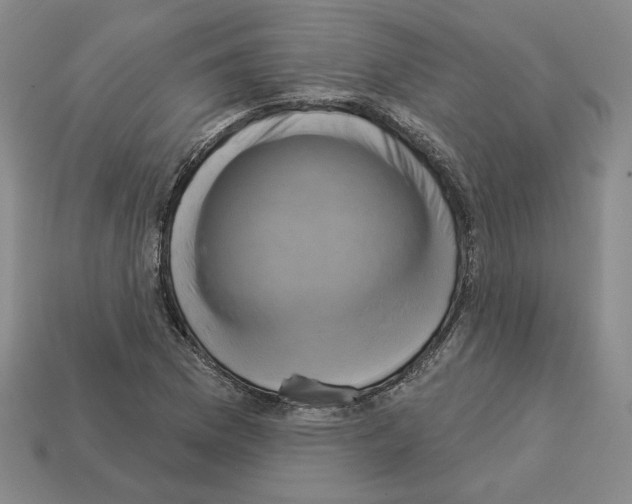 X0000112891169200910021408