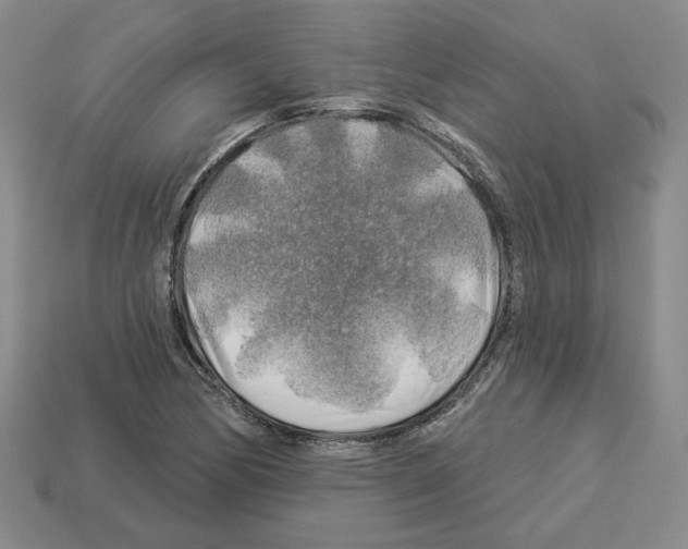X0000112891170200910021408
