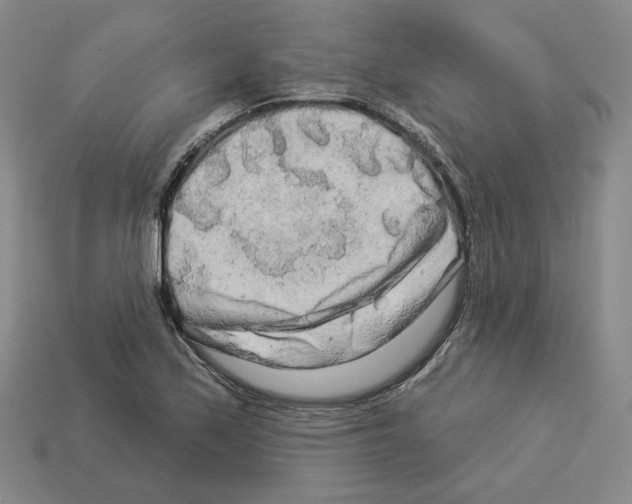 X0000112891171200910021408