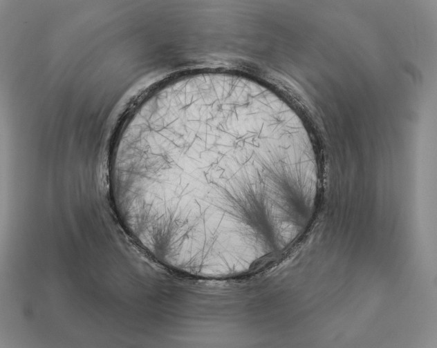 X0000112891172200910021408
