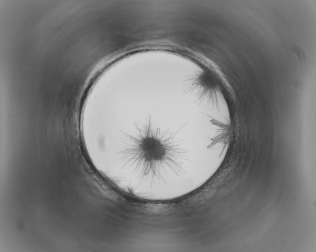 X0000112891176200910021408