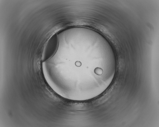 X0000112891177200910021408