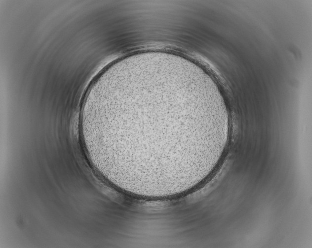 X0000112891178200910021408