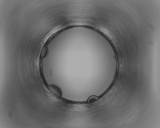 X0000112891181200910021408