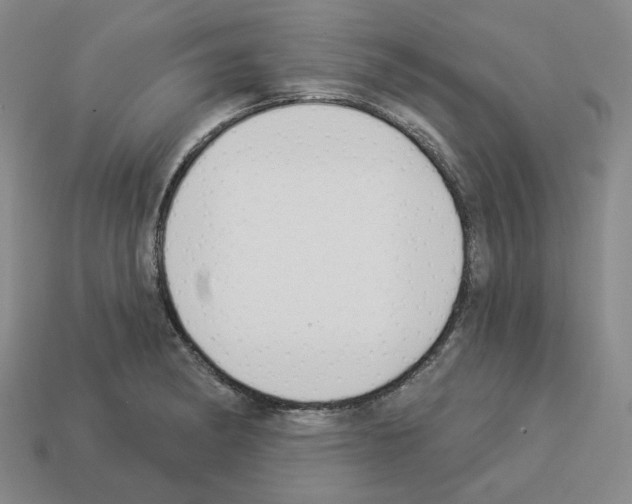 X0000112891182200910021408