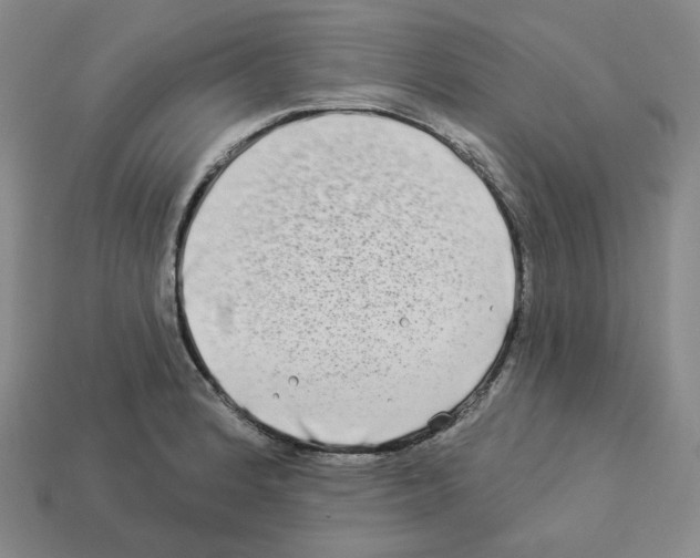 X0000112891184200910021408