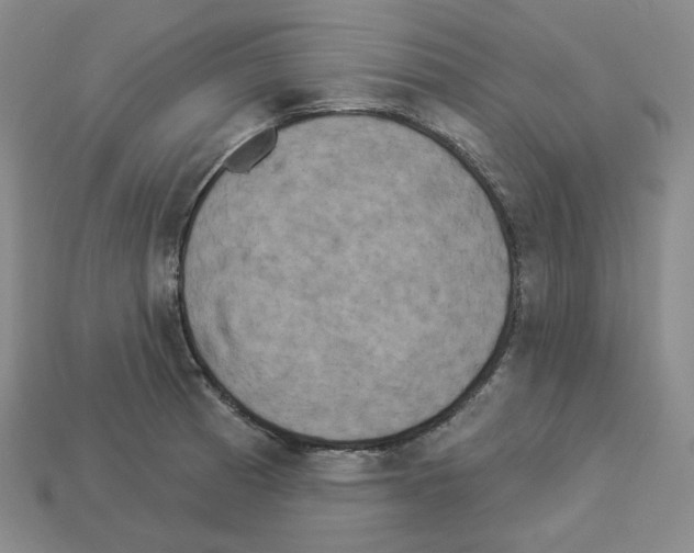X0000112891185200910021408