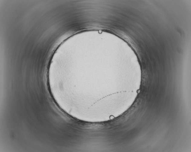 X0000112891187200910021408