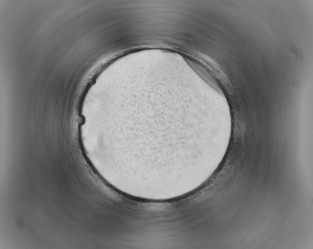 X0000112891188200910021408