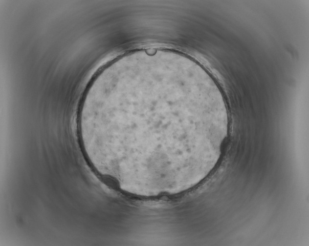 X0000112891189200910021408
