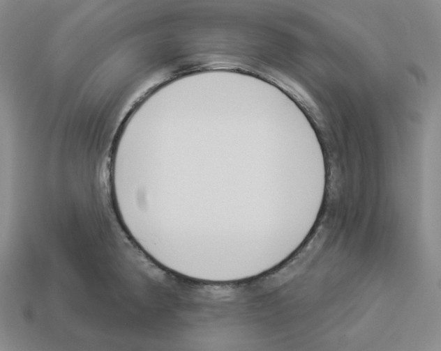 X0000112891190200910021408