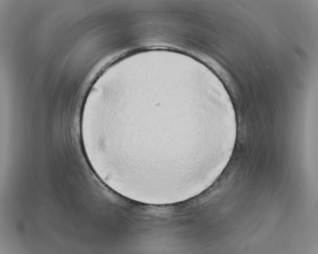 X0000112891191200910021408