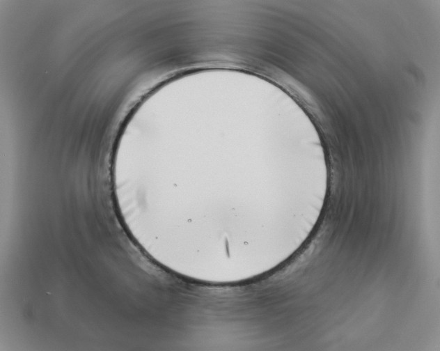 X0000112891192200910021408