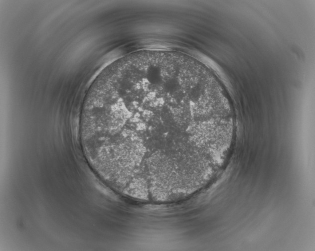 X0000112891194200910021408