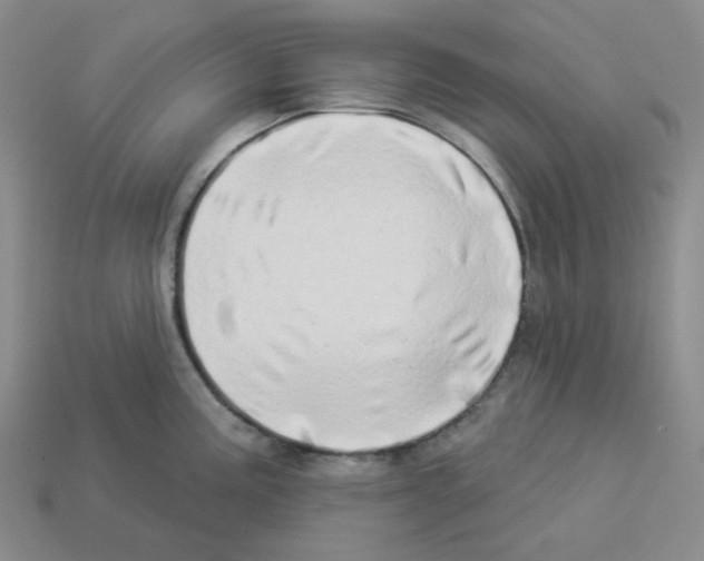 X0000112891195200910021408