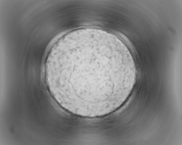 X0000112891196200910021408