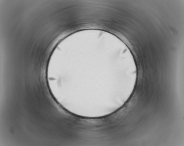 X0000112891197200910021408