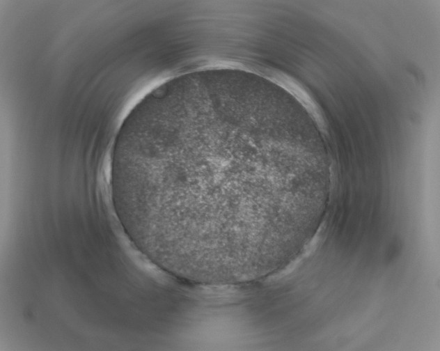X0000112891198200910021408