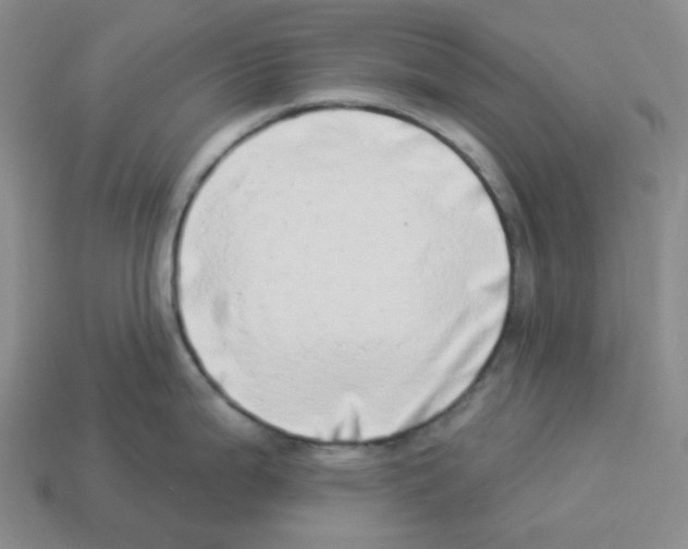 X0000112891199200910021408