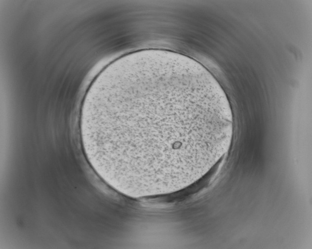 X0000112891200200910021408