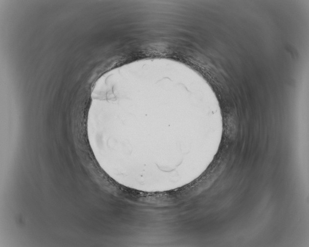 X0000112891201200910021407