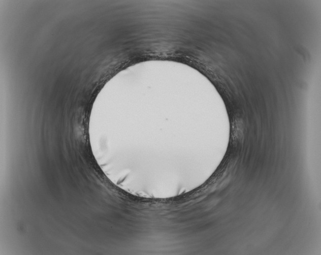 X0000112891202200910021407