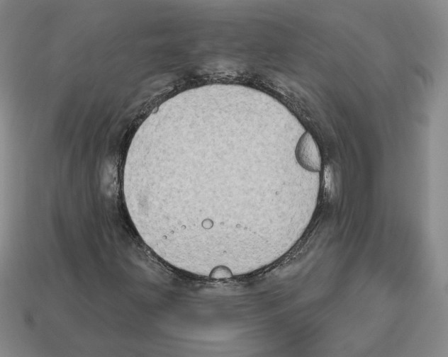 X0000112891203200910021407