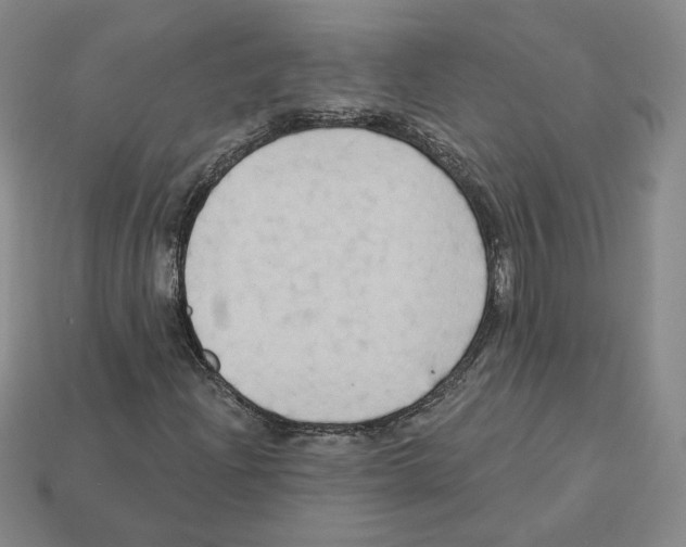 X0000112891204200910021407