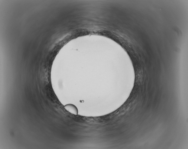 X0000112891205200910021407