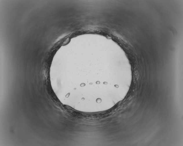 X0000112891206200910021407