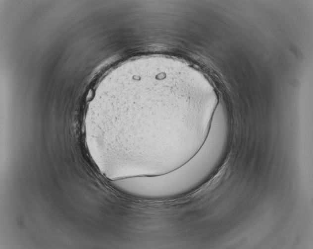 X0000112891210200910021407