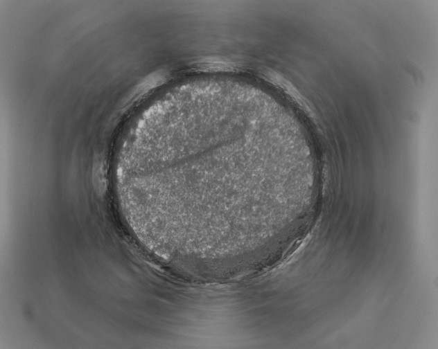 X0000112891213200910021407