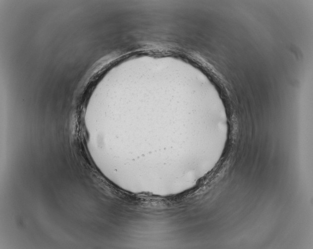 X0000112891215200910021407