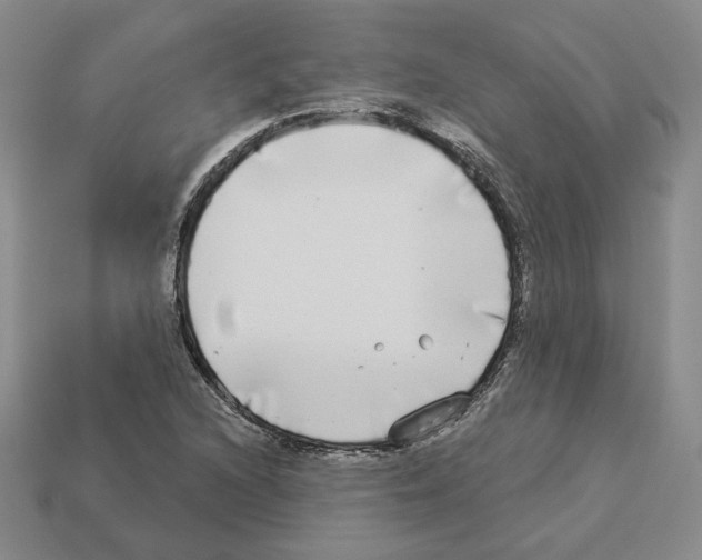 X0000112891216200910021407