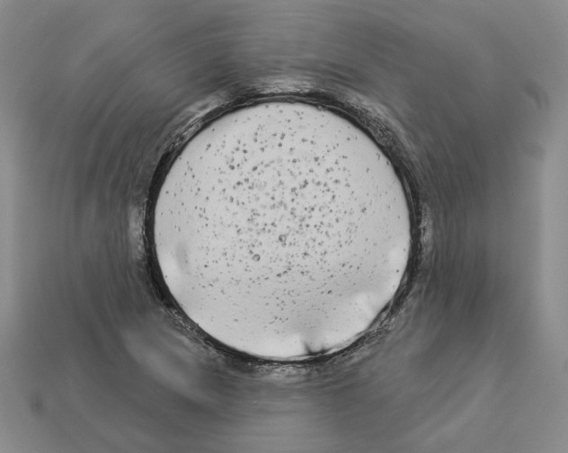 X0000112891217200910021407