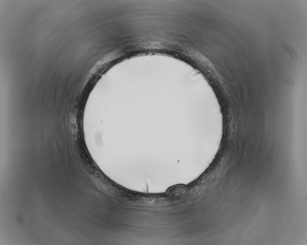 X0000112891218200910021407