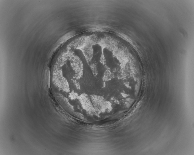 X0000112891219200910021407