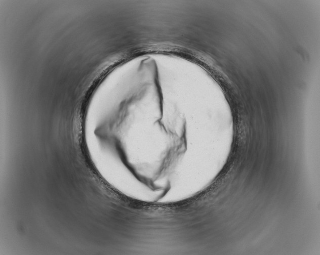 X0000112891221200910021407